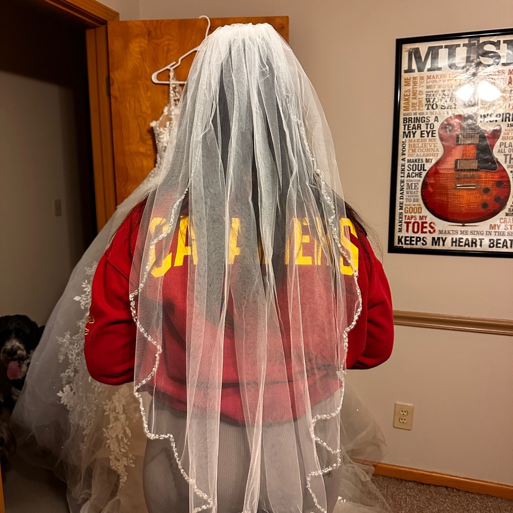 Elegant Lace Wedding Dress - Picture 9 of 10